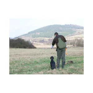 Ein schwarzer Hund stitzt auf einem Feld. Sein Herrchen gibt ihm Handzeichen. Im Hintergrund sieht man eine schwarz-weiße Markierungsflagge in der Wiese stecken.