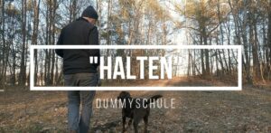 Thumbnail für den Blogbeitrag Halten