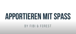YouTube Vorschaubild zum Thema: Apportieren mit Spaß bei Fibi und Forest.