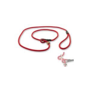 Rote Retrieverleine mit Zugbegrenzung