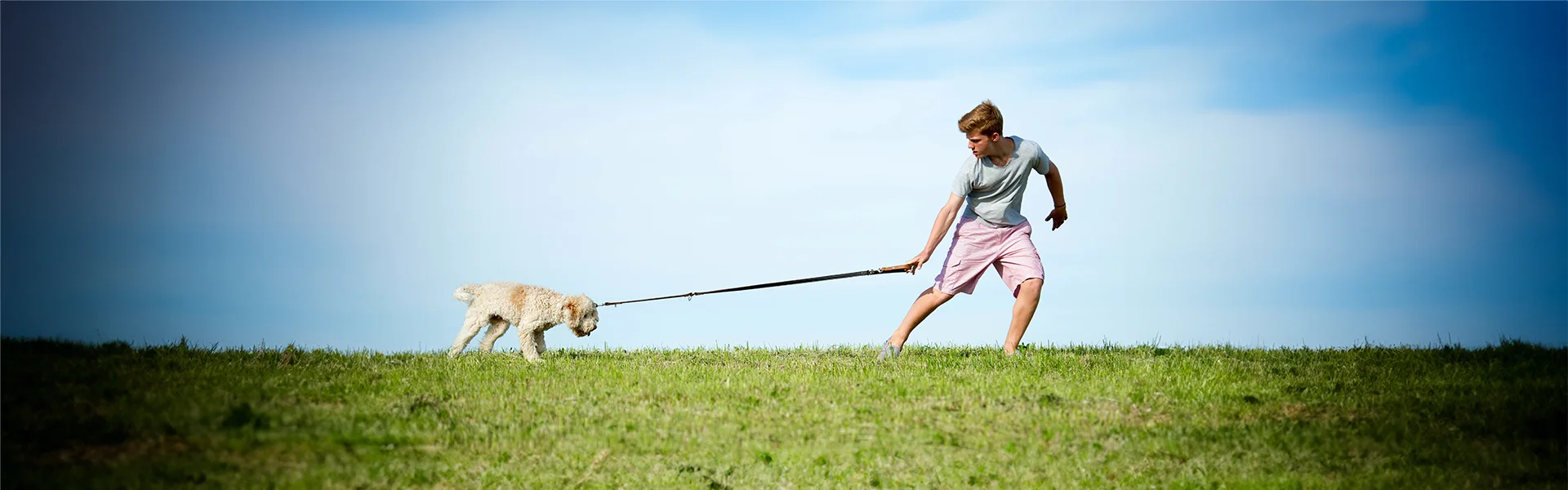 Ein junger Mann in Sommerkleidung zieht an einer Leine, um einen widerstrebenden Hund, der auf einer grünen Wiese steht, zu führen. Im Hintergrund ist ein klarer blauer Himmel zu sehen. Sie sollten die Leinenführigkeit trainieren. Um den Spaziergang für Hund und Mensch entspannter zu machen hilft ein Kurs in der Hundeschule Dummyschule in Kaiserslautern.