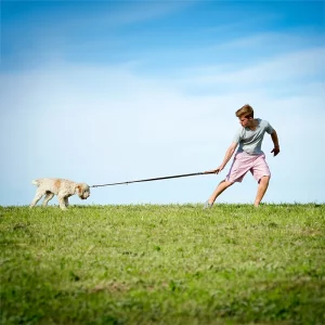 Ein junger Mann in Sommerkleidung zieht an einer Leine, um einen widerstrebenden Hund, der auf einer grünen Wiese steht, zu führen. Im Hintergrund ist ein blauer Himmel zu sehen. Sie sollten die Leinenführigkeit trainieren. Um das zu verhindern hilft ein Kurs in der Hundeschule Dummyschule in Kaiserslautern.