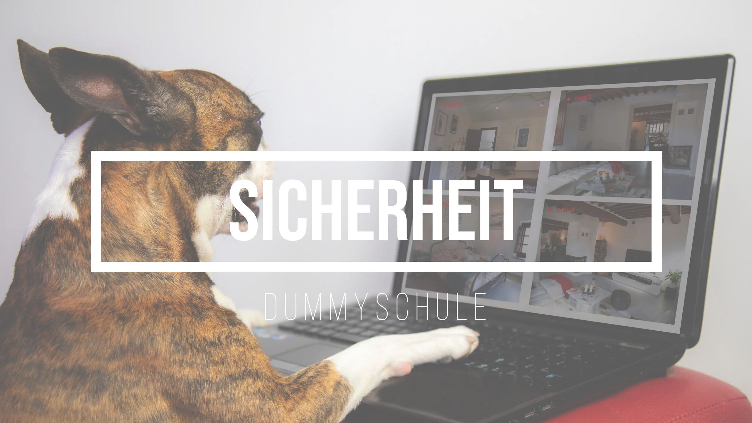 Das Bild gehört zu dem Blog-Beitrag Sicherheit. Ein Hund, der wie ein Boxer aussieht, sitzt vor einem Laptop, auf dessen Bildschirm die Ansichten von Überwachungskameras zu sehen sind, die verschiedene Zimmer eines Hauses zeigen. Der Hund scheint interessiert auf den Bildschirm zu blicken, während er eine Pfote auf die Tastatur legt.