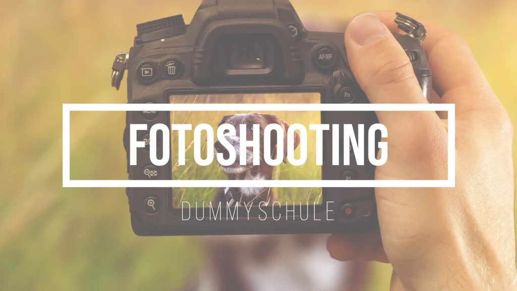 Beitragsbild zum Beitrag Fotoshooting mit Hund. Das Bild zeigt eine professionelle Kamera wird von einer Hand gehalten. Auf dem Bildschirm der Kamera sieht man ein Portrait von einem Hund, welches gerade geschossen wird. Der Hund sitzt im Hintergrund auf einer Wiese.