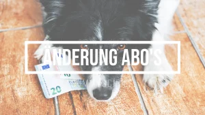 Ein Bild zum Beitrag über die Änderungen am Abo-Preismodell. Ein Border Collie mit nachdenklichem Blick liegt auf einem Holzboden und hat einen 10- und einen 20-Euro-Schein unter einer Pfote.