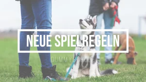 Beitragsbild zu den neuen Spielregeln zum Thema Termine einhalten. Auf dem Bild sieht man Ein junger Husky schaut aufmerksam zu seiner Besitzerin. Er sitzt brav auf einer Wiese vor ihr. Im Hintergrund sieht man noch einen weiteren Hund aus der Trainingsgruppe mit seinem Herrchen.